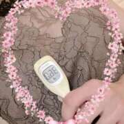 ヒメ日記 2025/10/09 13:20 投稿 まこ 石庭