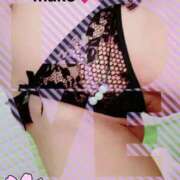 ヒメ日記 2025/10/09 22:00 投稿 まこ 石庭