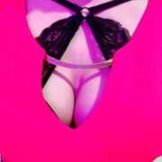 ヒメ日記 2025/10/11 15:20 投稿 まこ 石庭