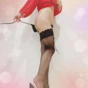 ヒメ日記 2025/10/11 21:50 投稿 まこ 石庭