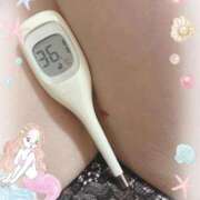 ヒメ日記 2025/10/12 14:35 投稿 まこ 石庭