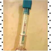 ヒメ日記 2025/10/12 14:48 投稿 まこ 石庭