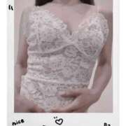 ヒメ日記 2025/10/12 21:50 投稿 まこ 石庭