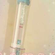 ヒメ日記 2025/10/14 13:34 投稿 まこ 石庭