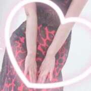 ヒメ日記 2025/10/15 14:51 投稿 まこ 石庭