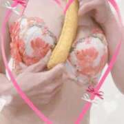 ヒメ日記 2025/10/16 12:48 投稿 まこ 石庭