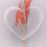 ヒメ日記 2025/10/18 21:20 投稿 まこ 石庭