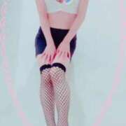 ヒメ日記 2025/10/21 09:50 投稿 まこ 石庭