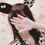 ヒメ日記 2025/10/22 21:20 投稿 まこ 石庭