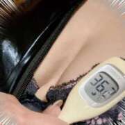 ヒメ日記 2025/10/23 12:50 投稿 まこ 石庭