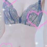 ヒメ日記 2025/10/23 22:02 投稿 まこ 石庭