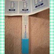 ヒメ日記 2025/10/26 13:20 投稿 まこ 石庭