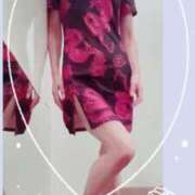 ヒメ日記 2025/10/30 09:30 投稿 まこ 石庭