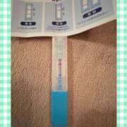 ヒメ日記 2025/11/01 13:20 投稿 まこ 石庭