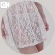 ヒメ日記 2025/11/01 21:34 投稿 まこ 石庭