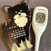 ヒメ日記 2025/11/04 14:00 投稿 まこ 石庭