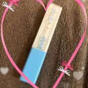 ヒメ日記 2025/11/04 14:20 投稿 まこ 石庭