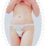 ヒメ日記 2025/11/08 22:34 投稿 まこ 石庭