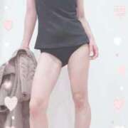 ヒメ日記 2025/11/09 10:30 投稿 まこ 石庭