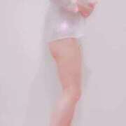 ヒメ日記 2025/11/11 12:30 投稿 まこ 石庭