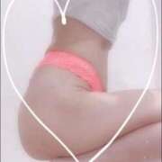 ヒメ日記 2025/11/11 21:50 投稿 まこ 石庭