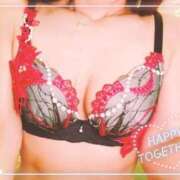 ヒメ日記 2025/11/11 22:20 投稿 まこ 石庭