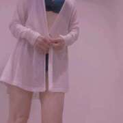 ヒメ日記 2025/11/16 21:30 投稿 まこ 石庭