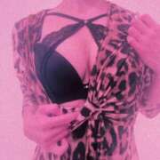 ヒメ日記 2025/11/18 14:40 投稿 まこ 石庭