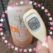 ヒメ日記 2025/11/20 13:20 投稿 まこ 石庭