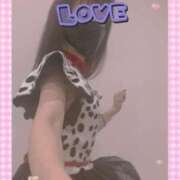 ヒメ日記 2025/11/20 14:30 投稿 まこ 石庭