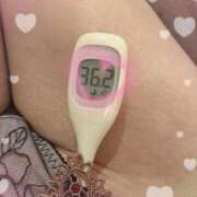 ヒメ日記 2025/11/22 12:32 投稿 まこ 石庭