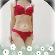 ヒメ日記 2025/11/25 10:20 投稿 まこ 石庭