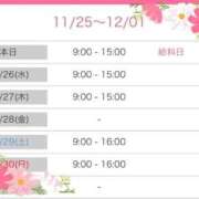 ヒメ日記 2025/11/25 22:51 投稿 まこ 石庭