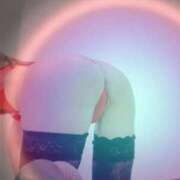 ヒメ日記 2025/11/27 21:39 投稿 まこ 石庭