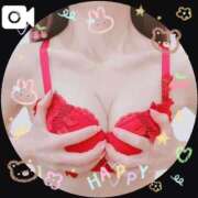 ヒメ日記 2025/11/29 22:03 投稿 まこ 石庭