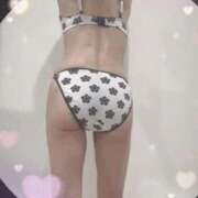 ヒメ日記 2025/11/29 22:20 投稿 まこ 石庭