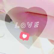 ヒメ日記 2025/11/29 22:34 投稿 まこ 石庭