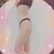 ヒメ日記 2025/12/03 21:50 投稿 まこ 石庭