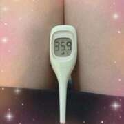 ヒメ日記 2025/12/04 13:34 投稿 まこ 石庭