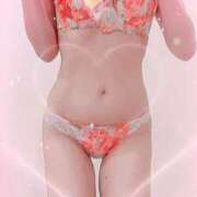 ヒメ日記 2025/12/06 21:20 投稿 まこ 石庭