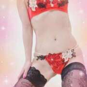 ヒメ日記 2025/12/07 09:40 投稿 まこ 石庭