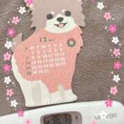 ヒメ日記 2025/12/07 13:30 投稿 まこ 石庭