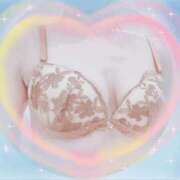 ヒメ日記 2025/12/07 15:20 投稿 まこ 石庭