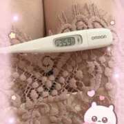 ヒメ日記 2025/12/09 13:20 投稿 まこ 石庭