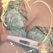 ヒメ日記 2025/12/10 13:20 投稿 まこ 石庭