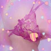 ヒメ日記 2025/12/13 22:35 投稿 まこ 石庭