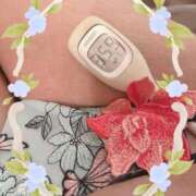 まこ たいおん🌡️ 石庭