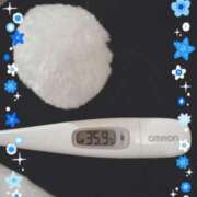 ヒメ日記 2025/12/17 13:20 投稿 まこ 石庭