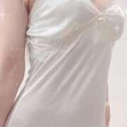 ヒメ日記 2025/12/17 14:43 投稿 まこ 石庭