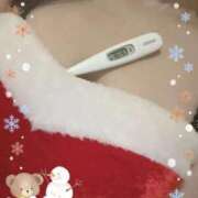 ヒメ日記 2025/12/18 13:34 投稿 まこ 石庭